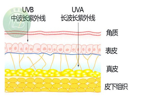 《纽意特》叫座，紫外线色织大提花热销